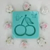 silicone mold cherry shaker for resin